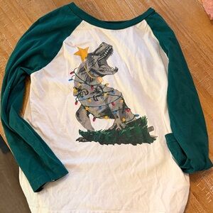 Kids Dinosaur Christmas Raglan Shirt - Green & White